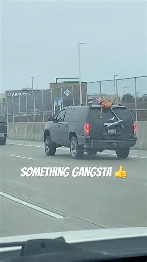 Gangsta Drivers in da Hood #fyp #shorts