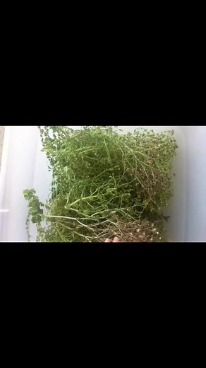 PrepperBabe on Reels | Facebook