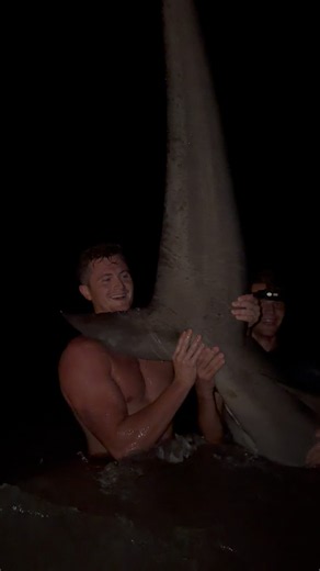 Releasing a Giant Hammerhead Shark! #fishing #sharks #sharkfishing #hammerheadshark