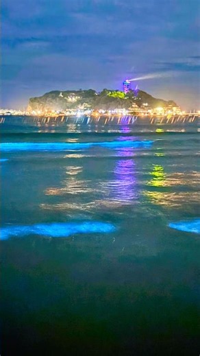 江の島の夜光虫が幻想的すぎた✨