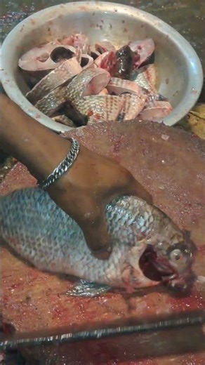 Amazing Tilapia Cutting Skills | Fresh Fish Cleaning & Fillet Process 🐟