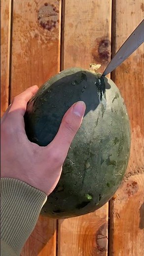 Satisfying Watermelon Cutting ASMR 🍉 #asmr #fruit #asmrfruit
