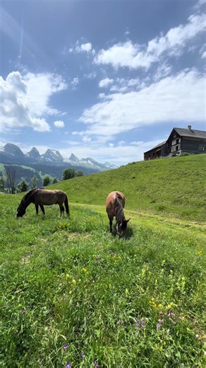 Bergurlaub Alm-Aufstieg: Wanderung zur Alpe in der Schweiz