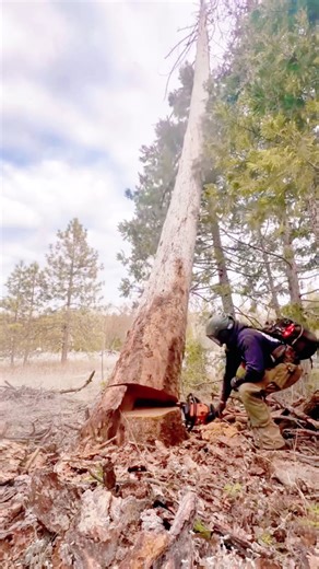 Gunung Semeru Meletus: Update 19 November 2025