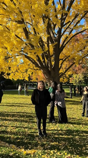 Beautiful winter of Boston. Beautiful Harvard University. . . . #life #study #student #family #love #boston #college | Michelle Li