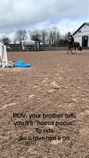 Funny Horse Fails Compilation