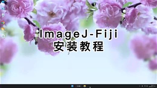 新手必看！完美的Fiji安装教学，超级简单Fiji新手课程！