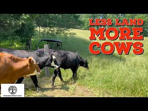 Secret Tools For Regenerative Grazing Cattle On Small Acreage