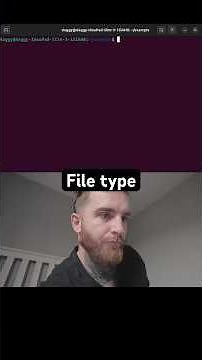 How to check a files details with the file command #forensics #networking #connectivity #terminal