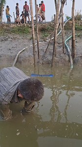 56K views · 305 reactions | কাঁদা পানি থেকে দুই হাতে দুই মাছ ধরল  #village #rails #fishingtrip #fishing #everyone #fishingislife #fishingaddict #fishingdaily #fishinglife #fish #fish | Unity Farm | Facebook