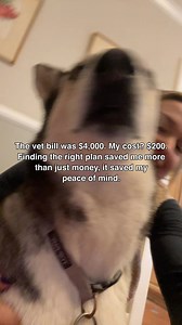 How Much Should Pet Insurance Actually Cost? 🙀 Find out the best price for your pet by tapping the link 🐱 | Forbes Advisor