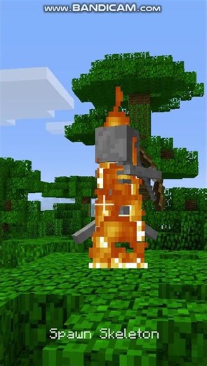 Minecraft Legacy Edition