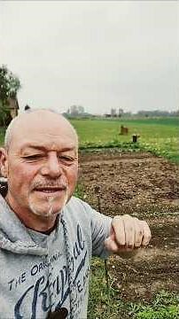 Mon 2e conseil pour semer les haricots verts au 25 avril date de départ