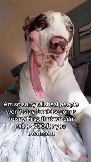 I'm so sorry, Michael… people won't stay to say hi. 🥹❤️