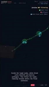 Lymphatic System — Anatomy in 60 Seconds #Shorts