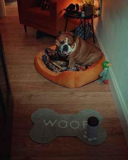 Chilly's | Reusable bottles, cups and more on Instagram: "We’re feeling good, good, good — ‘cos our ad airs on TV tonight! 🙌 If you’re in the UK, tune into C4 around 9pm and let us know if you spot it! 👀"