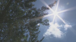 2021 marked 6th hottest year on record, research shows