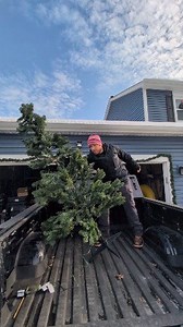 Almost fell over but I'm quick.Tip, strap down your tree Keeper Products Who's ready for the holidays? | Revive Home Tips