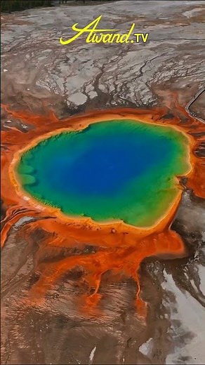 Yellowstone National Park Ecotourism Paradise #yellowstone #yellowstonenationalpark #ecotourism #...