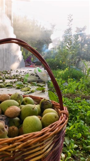 1.2K reactions · 27 comments | #myvillage #organiclife #mountainslifestyle #best #shorts | Arjumand Simple Recipes | Facebook