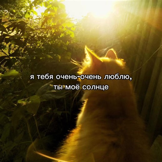 #щп #щитпост