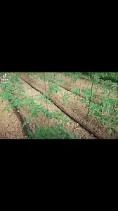 9.3K views · 176 reactions | La lutte biologique contre les insectes ravageurs des cultures | Agr Ecol | Facebook