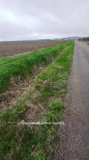 Maria Manea on Reels