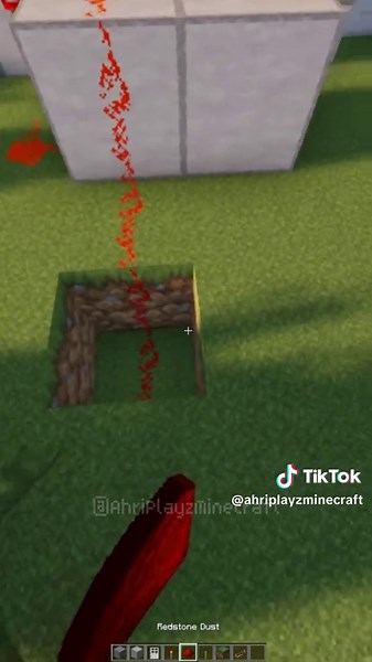 Minecraft Password Door #minecraft #shorts