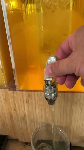 Beverage Dispenser with Ice Core Review – Party Setup Test