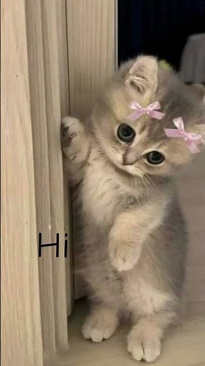 get these cute wallpapers from Pinterest