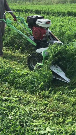 75K views · 1.7K reactions | Mini Harvester Machine | Reaper...