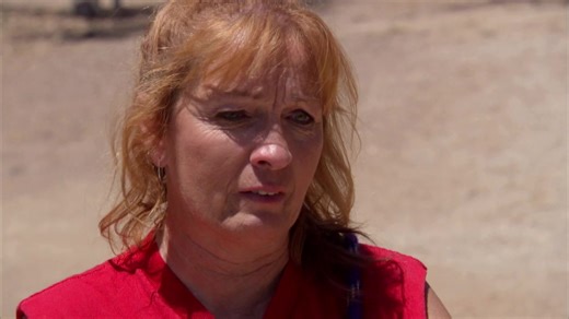 244K views · 11K reactions | PIT BULLS, PAROLEES & ME Pit Bulls,...