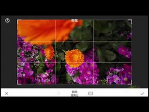 20、Snapseed综合应用篇：照片的重新裁剪构图的技巧