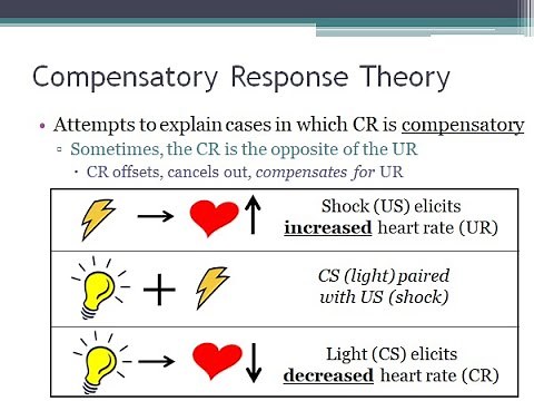 PSYC 370 Video Lecture - Compensatory Response Theory
