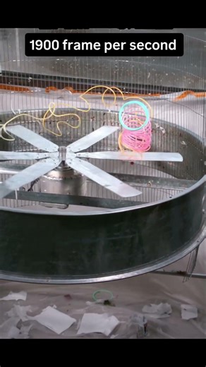 Fan vs spring #dcmotorproject #science #experimnent #tech #dcmotor #motorbuilding #scienceproject