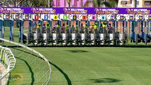 5.8K views · 347 reactions | ⭐CATCH RACE 4 REPLAY : The Sharks...