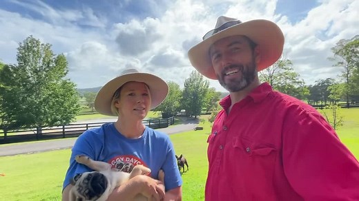 91K views · 10K reactions | We’re back!! First day of day care today for 2021 and we’re all very excited to be back! We thought we’d start off the year with a quick intro for all our new followers, we get a lot of questions about which ones are our dogs so we thought we’d cover that off too. AND some special news ...  | Doggy Daycare Farm Trips | Facebook