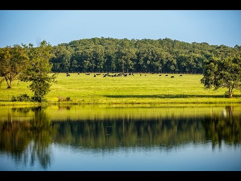 Rolling K Ranch | Smith County, Texas Ranch for Sale