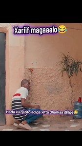 924K views · 21K reactions | Xariif magaalo haduu kuqabto waasidan | Dhamuug Tv | Facebook
