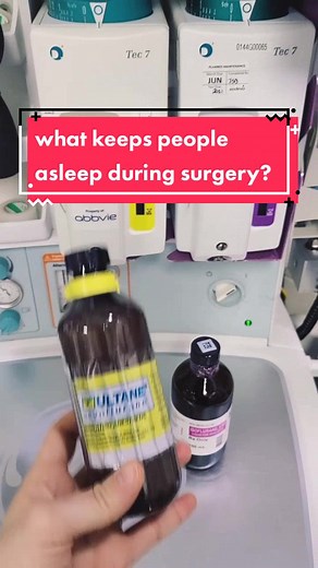 The Schoeller Family on TikTok