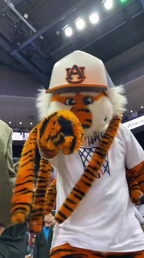 Celebrate National Mascot Day with Aubie the Tiger!