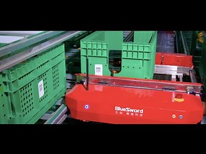 Multi-Shuttle Storage and Retrieval Integrated Goods-to-Person System - BlueSword