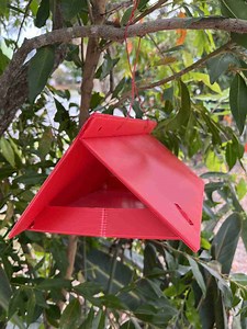 Light Brown Apple Moth Trap Kit - PlantNet® Australia