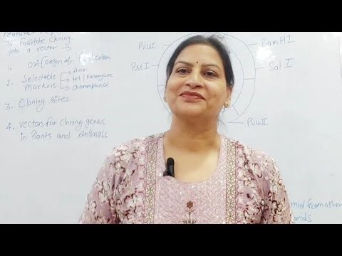 Features of Cloning vector pBR 322 used in biotechnology