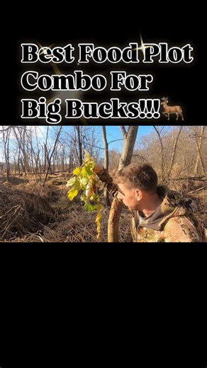 Nate Loeffler on Instagram: "Ever tried pairing OATS and TURNIPS for a food plot? First year hunting the 25 acre Marsh property and took down a mature buck! All thanks to two properly placed food plots and bow stand locations. If you hunt wet dirt it’s a great combo to attract way more deer. They will draw bucks to your property September-December. The results will speak for themselves! Looking to Transform your hunting property and see big bucks EVERY season. Not happy with the deer you’re seei