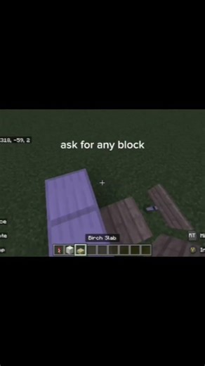 day 307 of adding blocks as subscribers #minecraft #day307