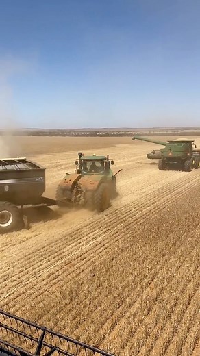Landwirtschaft • Agriculture&Farming • Agricoltura on Instagram: "Australia Farming 🇦🇺 🔥🔥🔥 • • The best agricultural Videos on @xtremefarm • Source: fireloic on Tiktok #agriculture #agricoltura #farmilife #farmer #farmingaustralia #farm #tractors #tractor #trattori #trattore #johndeere #newholland #fendt #fiatagri #agriculteur"