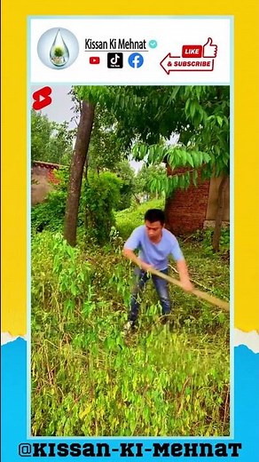 Japanese Sickle, Hand Sickle, Grass Double-Edged Sickle, Agriculture Tools, Double-Edged SICKLE