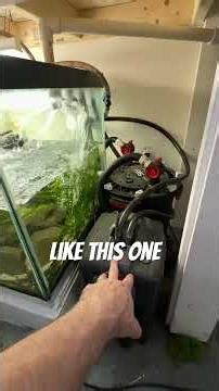 Stacked aquariums? Good or bad? #fishtank #aquarium