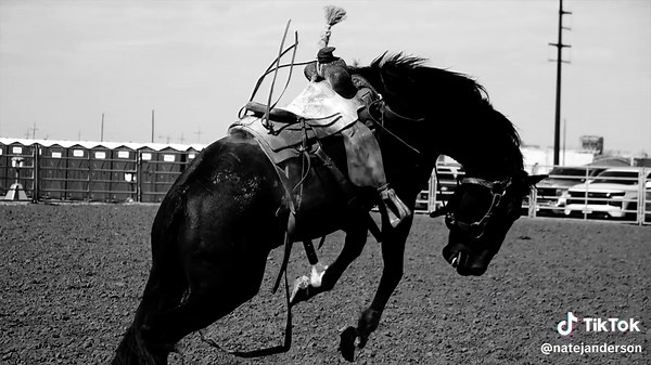 Ranch bronc ridin #cowboy #texas #texaspanhandle